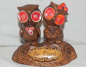Unique Vtg Ceramic Brown Owl Salt & Pepper Shaker Set Tic Souvenir "The Ozarks" - Picture 1 of 11