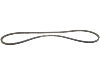 For 2015-2019 Ford Transit-350 HD Multi Rib Belt Power Steering 26166ZXGG 2016 - Image 1 of 2