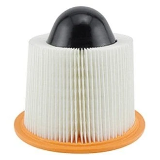 For Ford F-150 1997-2008 Baldwin Filters PA4075 Air Filter Element Foto 1 de 1