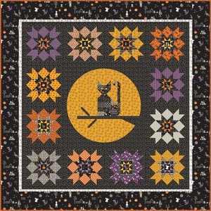 Meowing at the Moon Quilt Kit KT-14500 by Sandy Gervais for Riley Blake - Picture 1 of 2