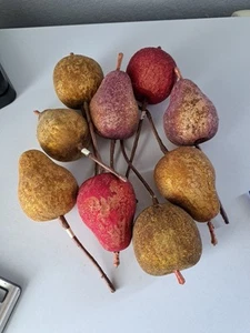 VTG 9 Pc SUGAR FRUIT on WIRE PICKS for ARRANGEMENT Wreath  - Picture 1 of 6