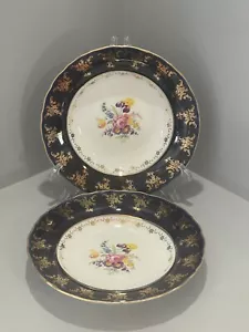 Thun Karlovarsky Porcelan Floral 9 1/2" Plate/Bowl Czech Cobalt & Gilt Set of 2 - Picture 1 of 11