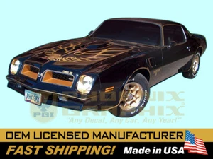 1976 Trans Am edición especial bandido 50o alemán calcomanía de pájaro kit a rayas completo - Imagen 1 de 1