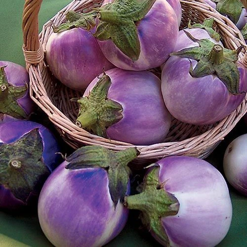 Semillas redondas de berenjena malva 50+ vegetales Solanum Melongena NO TRANSGÉNICOS EE. UU. ENVÍO Y DEVOLUCIÓN GRATUITOS Foto 1 de 1