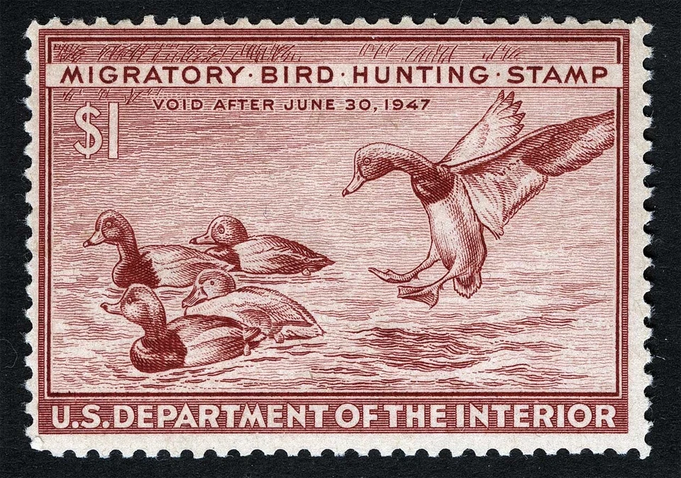 US Sc RW13 Red Brown $1.00 1946 Mint Never Hinged OG Duck Humiting Stamp - Image 1 of 1