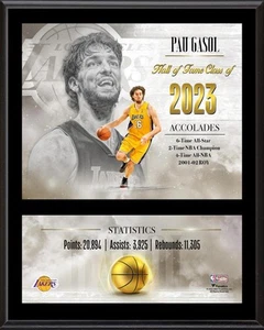 Pau Gasol Los Angeles Lakers 12" x 15" Hardwood Classic Sublimated Player Plaque - Picture 1 of 1