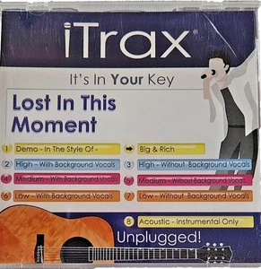 "Lost In This Moment"  iTracks accompaniment CD - Picture 1 of 2