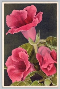 1940s Swiss Pink Gloxinia Switzerland Brilliant Flowers Unposted Postcard - Imagen 1 de 2