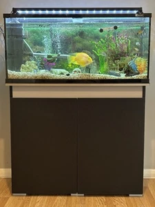 3ft Long Fish Tank With Stand storage And Accessories FULL SET UP - Picture 1 of 4