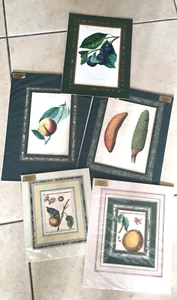 5 decorativ Fruit prints c.1890 coloured lithographs double mounted marble paper - Picture 1 of 11