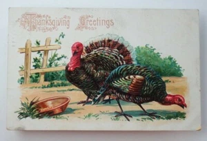 1908 Thanksgiving Greetings Turkeys Feed Pan Embossed Postcard - Imagen 1 de 1