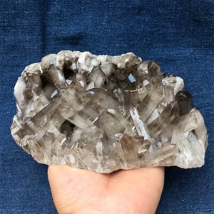 2.1LB Natural smoky quartz cluster mineral specimen crystal Healing TD192-GA-0 - Picture 1 of 12