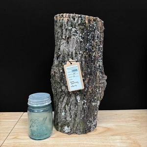 AMERICAN/WHITE ASH - 15”  Log For Woodworking - 15 Lbs - #W0005 -SPALT/BURL/PINK - Picture 1 of 13