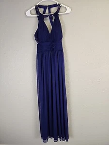 Cache Pflaume lila lange Empire-Taille formelles Kleid Gr. 0 - Bild 1 von 8