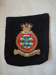 Royal Navy Far East Fleet 29th Escort Squadron Plymouth bullion patch on pocket - Picture 1 of 2