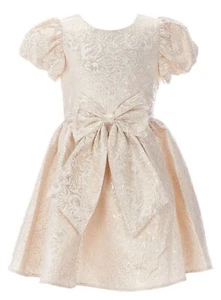 Rare Editions Big Girls Puffed Sleeve Metallic Brocade Fanciful Dress-Size-14 16 - Picture 1 of 4