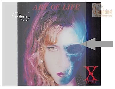 Fundas exteriores Analogis LP PE - 50 unidades, 60 micras, finas y transparentes