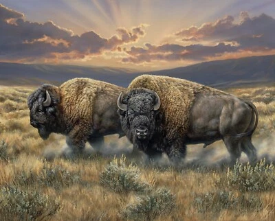 Dusty Plains Buffalo Fabric Panel 35 inches x 45 inches - Image 1 of 4