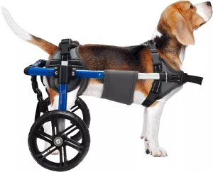 Small Medium Dog Wheelchair For Back Legs,Adjustable Dog Wheelchair For Disabled - Picture 1 of 71