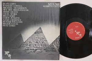 LP MTUME Rebirth Cycle TSJ100 THIRD STREE US - Imagen 1 de 1