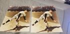 LOT (2) GENUINE AUTHENTIC TOMMY BYRNE YANKEES 8x10 PHOTOGRAPHS NOT SIGNED