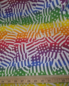 Rainbow Pride Flags Colors Cotton Craft Sewing Fabric 70 inches NEW - Picture 1 of 2