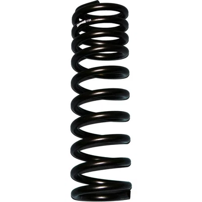 Skyjacker 172 fits Ford 1977-1979 F-150 Coil Spring Set 4 Wheel Drive Foto 1 de 3