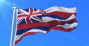BANDERA DEL ESTADO DE HAWAII nueva calidad superior HECHA EN EE. UU. 3x5 ft bandera de resistencia a la decoloración - Imagen 1 de 3