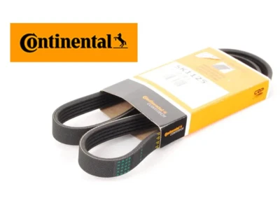 交流发电机传动皮带 - 5 X 1125 适用于奥迪 S5 Base Coupe 4.2L V8 - 内陆 — 第 1/4 张图片