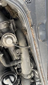 TURBOLADER Audi A3 Sportback (8PA) Hatchback 5-drs 1.9 TDI (BXE) - Bild 1 von 3