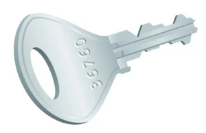 Locker Master Key for Probe Cam Lock - Picture 1 of 1