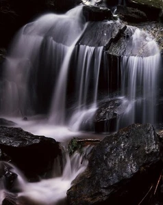 Fine Art Photo Print of Puck's Glen, Scotland by Richard Childs Photography - Picture 1 of 3