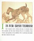 'I' is for Irish Terrier - CUSTOM MATTED - Vintage Dog Art Print - Clara Tice