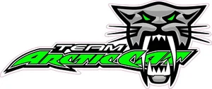 Team Arctic Cat Decal  7" x 3" Sticker for anywhere, sled atv toolbox - Picture 1 of 1