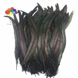 23 Colour Fade Plume 100pcs 25-45cm/10-18inch Rooster Tail Natural Chicken DIY