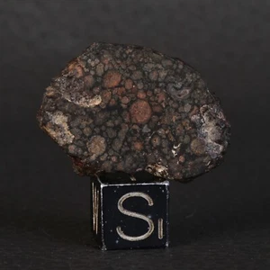 Talon de Météorite NWA 13385 de  6,40 g Chondrite Carbonée Type CVred3 - Picture 1 of 13
