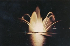 Windsor, Ontario Peace Fountain night view (64) - Picture 1 of 2
