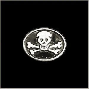 Skull & Cross Bones Crossbones Pirate Biker Riding Pin for Hat Vest or Lapel - Picture 1 of 1
