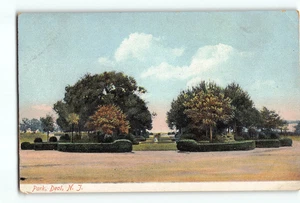 Alte Vintage Postkarte DEAL NJ PARK LANDSCHAFT - Bild 1 von 2