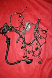 Front Left Driver Side Halogen Headlight Wiring Harness BMW OEM F25 X3 2015-2017 - Picture 1 of 12