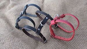 Ferret harness in real leather.
