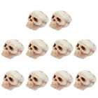  20 Pcs Mini Teschio Plastica Decorazione Del Cranio Decorazioni Di Halloween