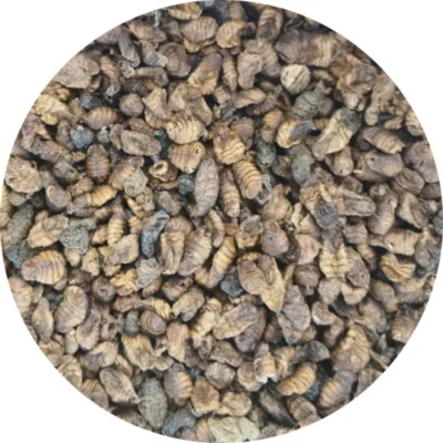 Seidenraupen Fischfutter Koifutter Teichfische Goldfische Gartenteich 1 l