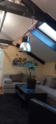 Smart Home Fabriklampe Loftlampe Esstischlampe Schwarz / Silber - Bild 1 von 4