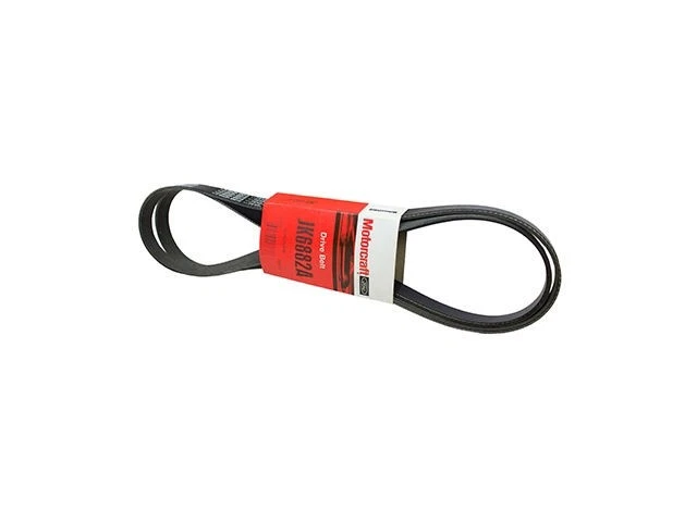 Cinturón multi costilla para Ford Mustang 1985-1989 5,0 L V8 1988 1986 1987 WJ735NJ Foto 1 de 1