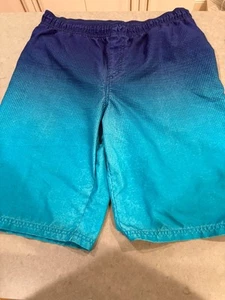 Lot of 2 Boys Under Armour Bathing Suits Youth XL. Bonus Nike Dri Fit Shorts - Picture 1 of 12