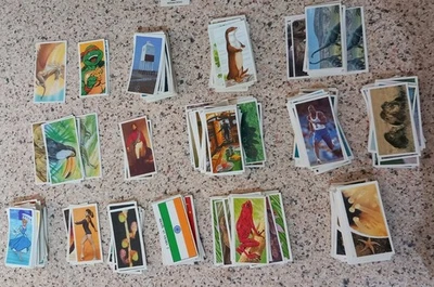 Brooke Bond Tea Cards Job Lot From Various Sets 1980s - 1990s - Image 1 of 2