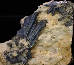 RARO VIVIANITA Espécimen Mineral Fino Cristal Rapid Creek Yukón Canadá - Imagen 1 de 4