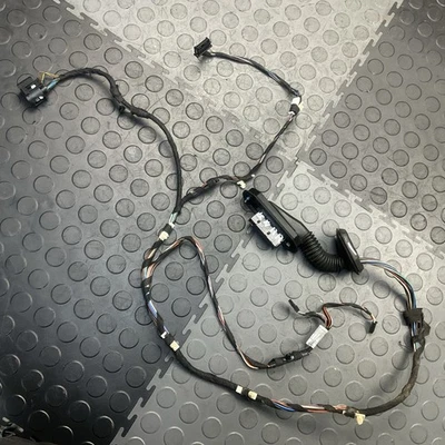 Arnés de cableado panel puerta lateral pasajero trasero derecho BMW X1 2013-2015 FABRICANTE DE EQUIPOS ORIGINALES Foto 1 de 4