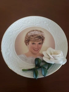 Diana England's Rose TRIBUTE TO DIANA 1st Plate  - Picture 1 of 4